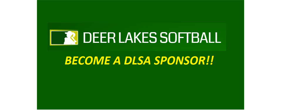 Become a DLSA Sponsor! Click Here!